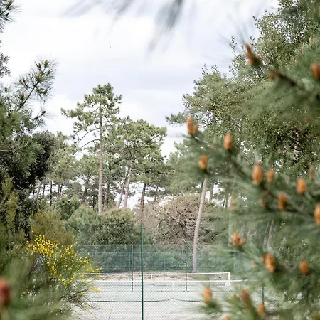Canopy Entre Pins Et Holiday home