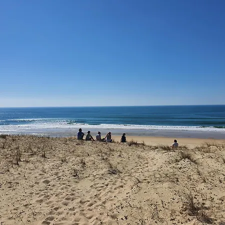 Canopy Entre Pins Et *