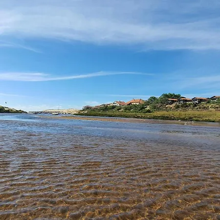 Dom wakacyjny Canopy Entre Pins Et *