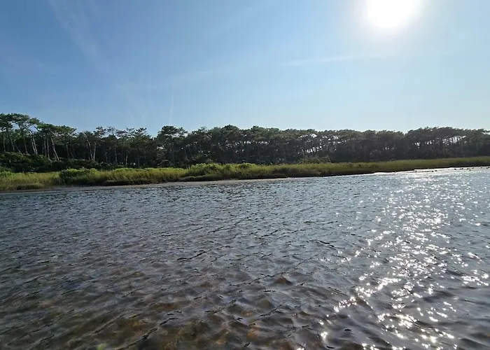 Canopy Entre Pins Et Ferienhaus *
