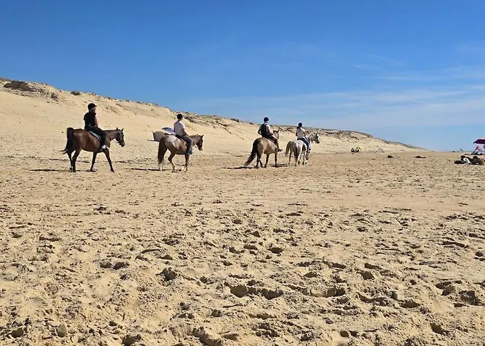 Canopy Entre Pins Et Ferienhaus *