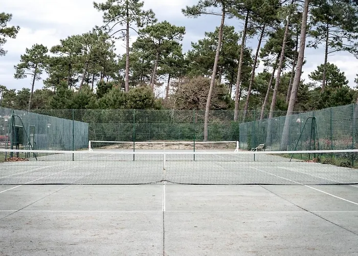 Canopy Entre Pins Et *