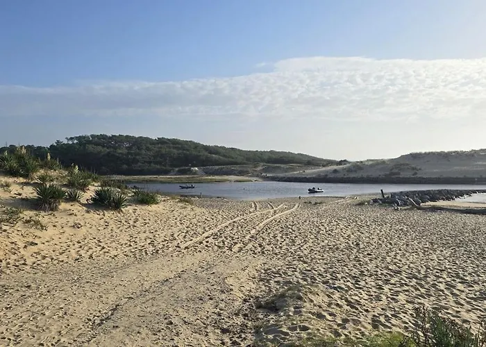 Canopy Entre Pins Et Lit-et-Mixe