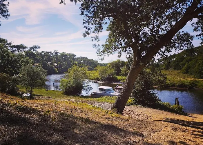 Ferienhaus Canopy Entre Pins Et Lit-et-Mixe