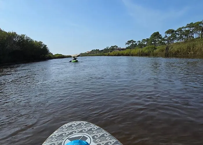 Canopy Entre Pins Et Ferienhaus