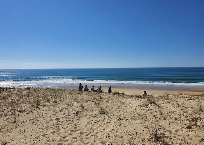 Canopy Entre Pins Et *