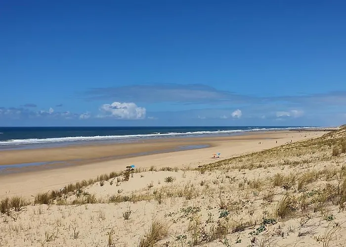 Canopy Entre Pins Et