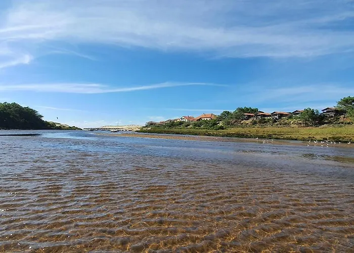 Ferienhaus Canopy Entre Pins Et *